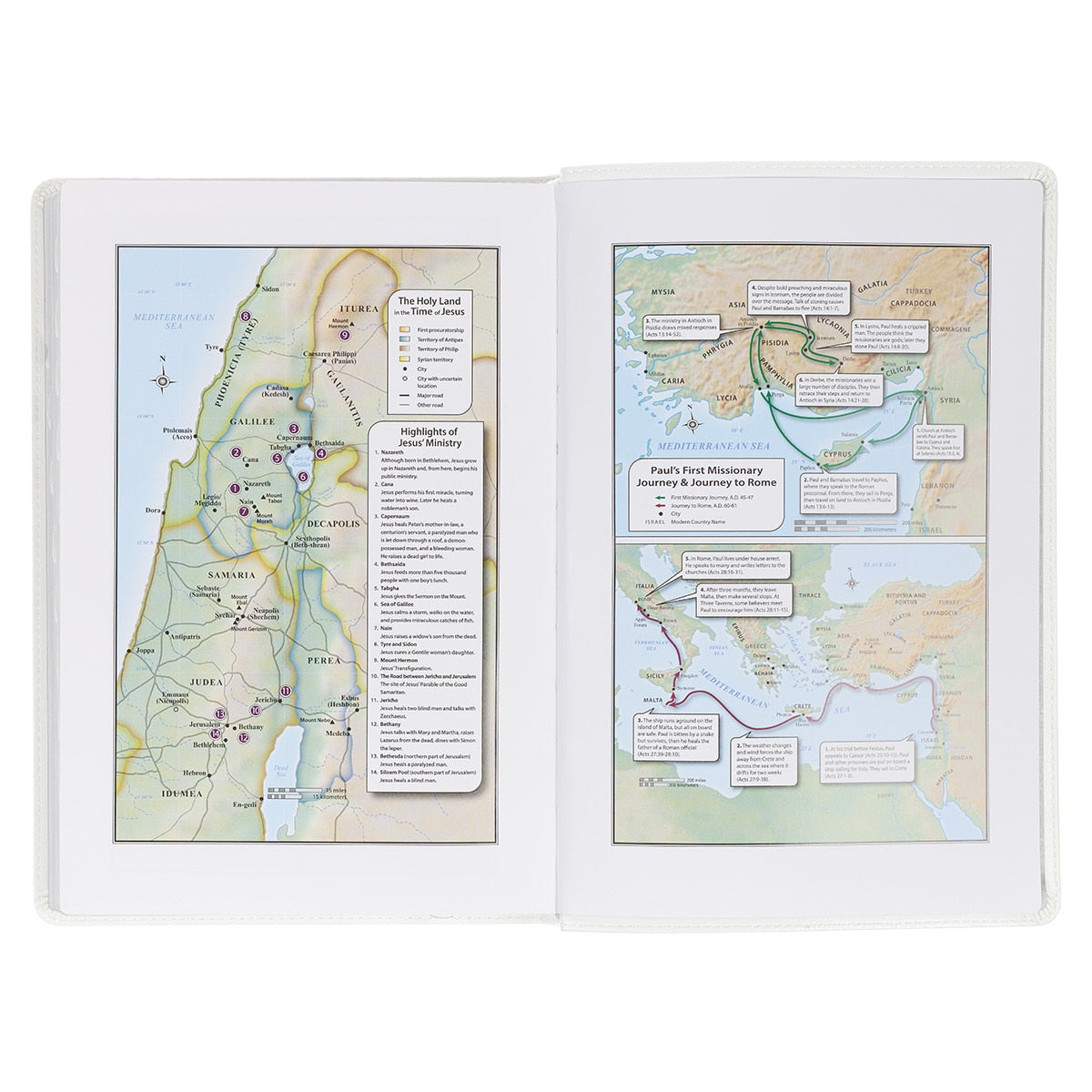 White Faux Leather Large Print Thinline King James Version Bible with Thumb Index