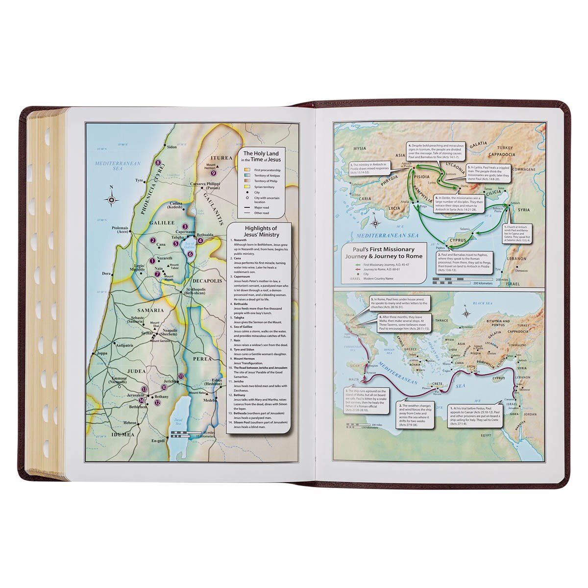 Burgundy Faux Leather Large Print King James Study Bible with Thumb Index