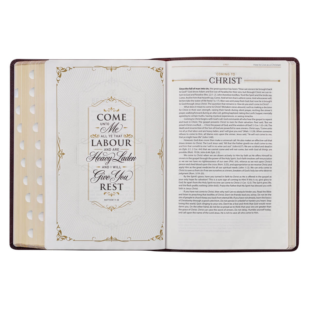 Burgundy Faux Leather Large Print King James Study Bible with Thumb Index