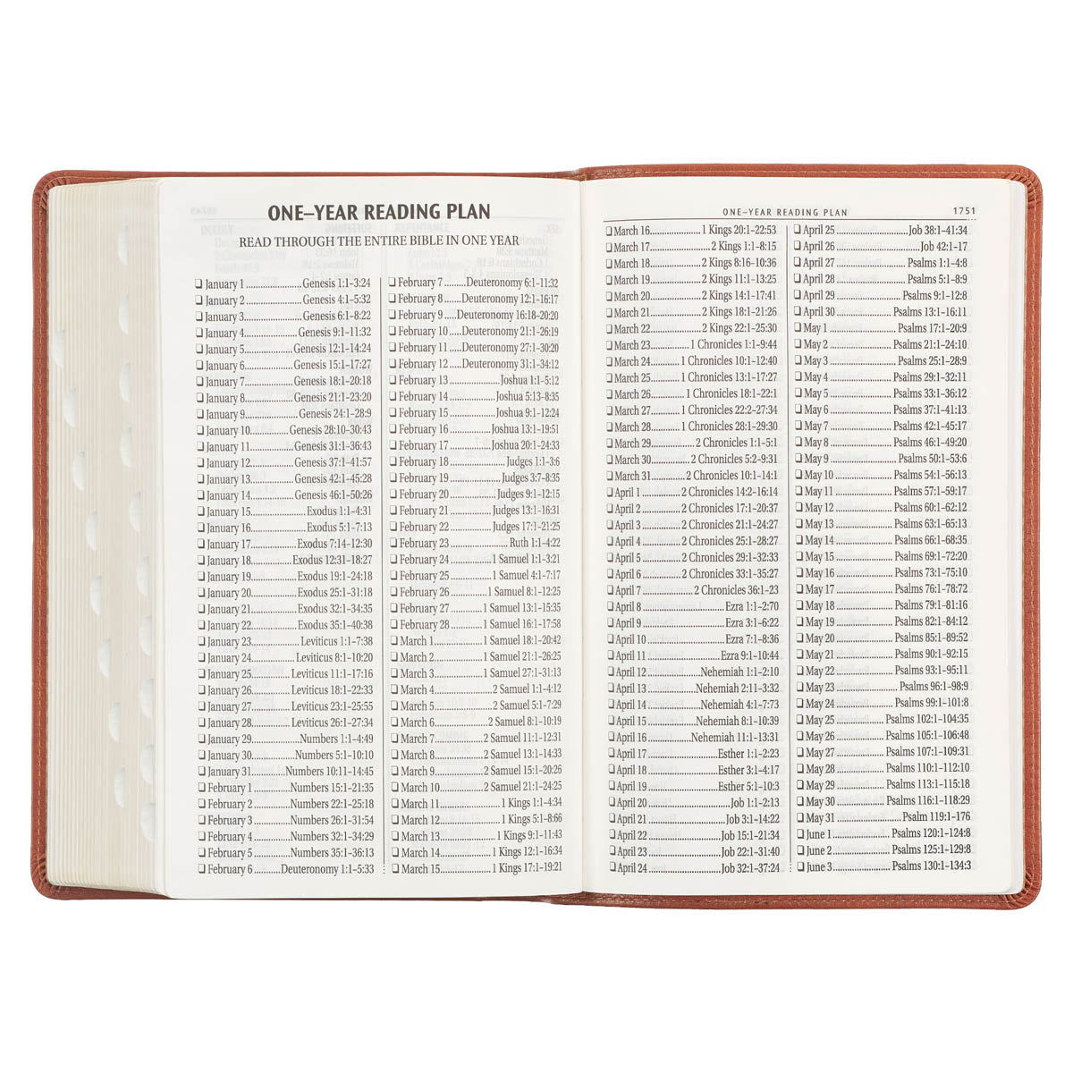 Honey Brown Faux Leather Giant Print Standard-size King James Version Bible with Thumb Index