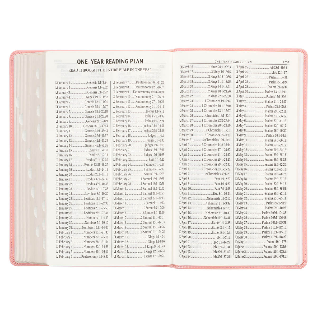 Sunrise Pink Faux Leather Giant Print Standard-size King James Version Bible with Thumb Index