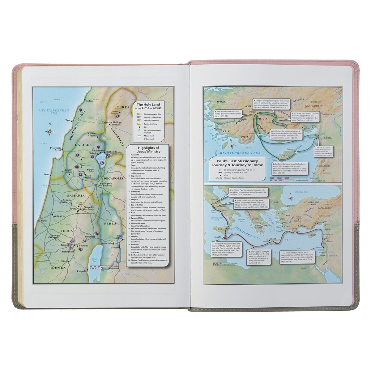 Pink and Gray Faux Leather Super Giant Print Full-size King James Version Bible with Thumb Index