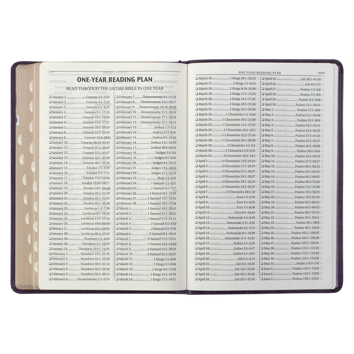 Purple Floral Faux Leather Large Print Thinline King James Version Bible with Thumb Index