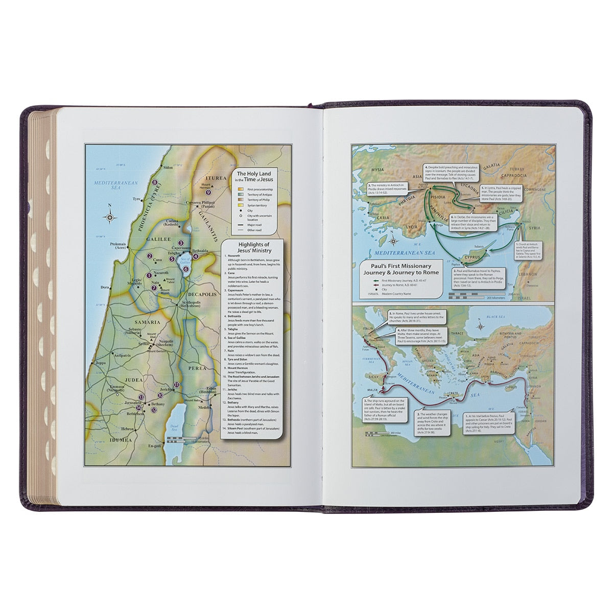 Purple Floral Faux Leather Large Print Thinline King James Version Bible with Thumb Index