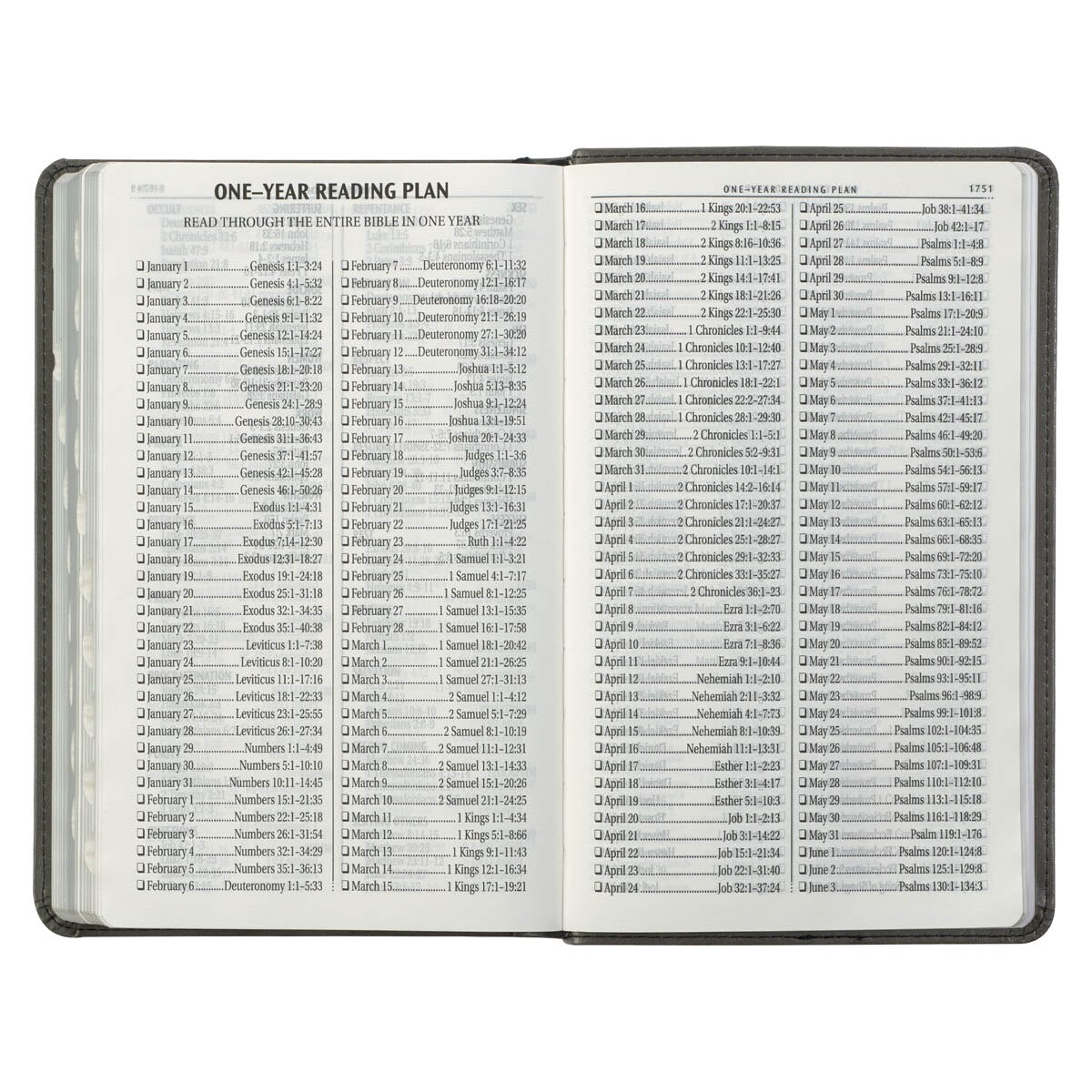 Gray and Black Faux Leather Giant Print Standard-size King James Version Bible with Thumb Index