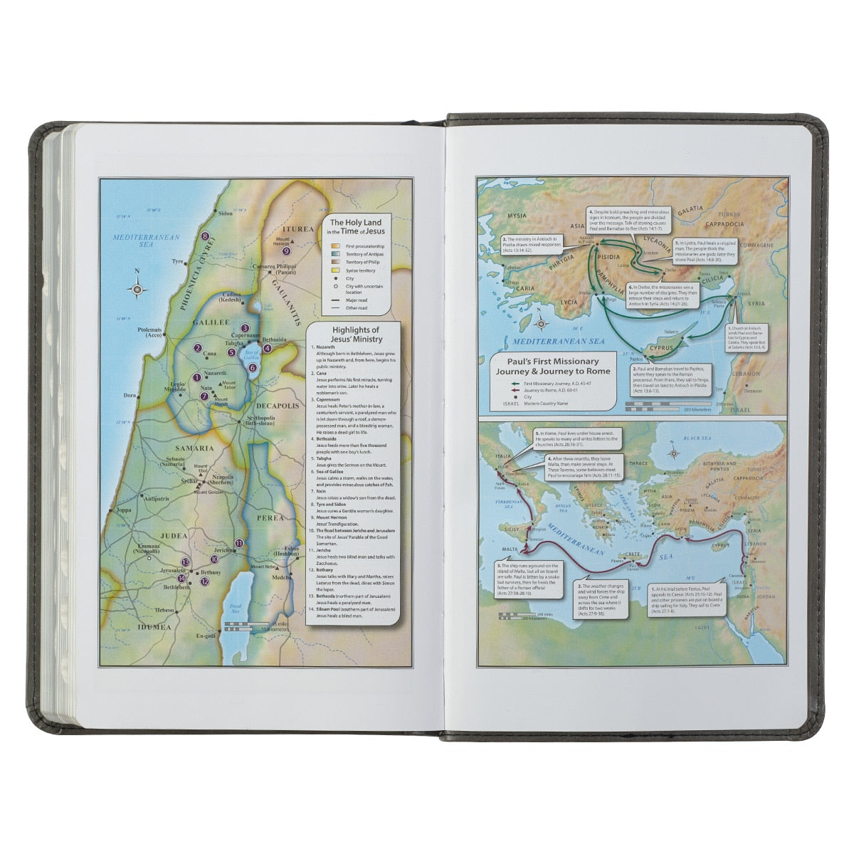 Gray and Black Faux Leather Giant Print Standard-size King James Version Bible with Thumb Index