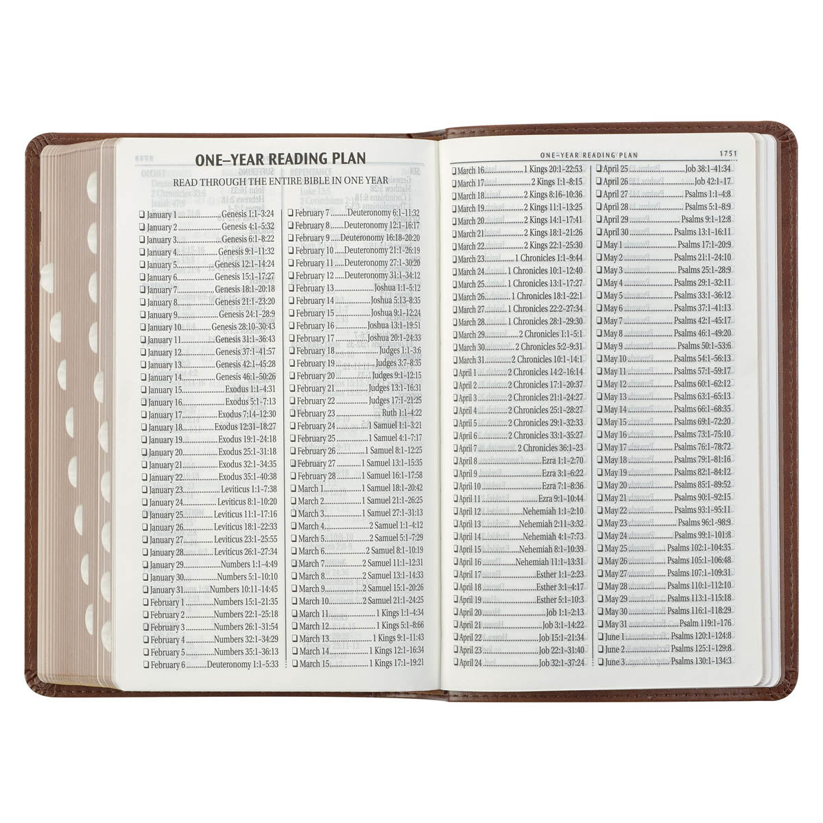 Saddle Tan and Butterscotch Faux Leather Giant Print Standard-size King James Version Bible with Thumb Indexing