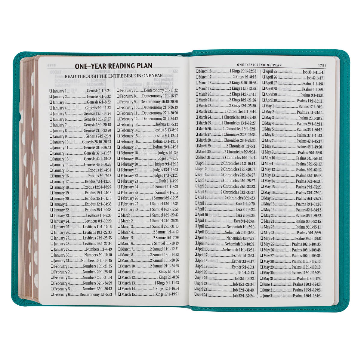 Teal Faux Leather Giant Print Standard-size King James Version Bible with Thumb Index