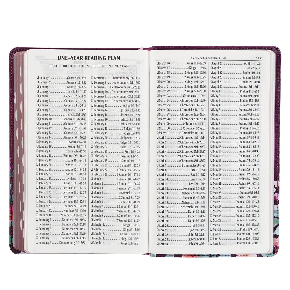 Purple Floral Faux Leather Giant Print KJV Bible