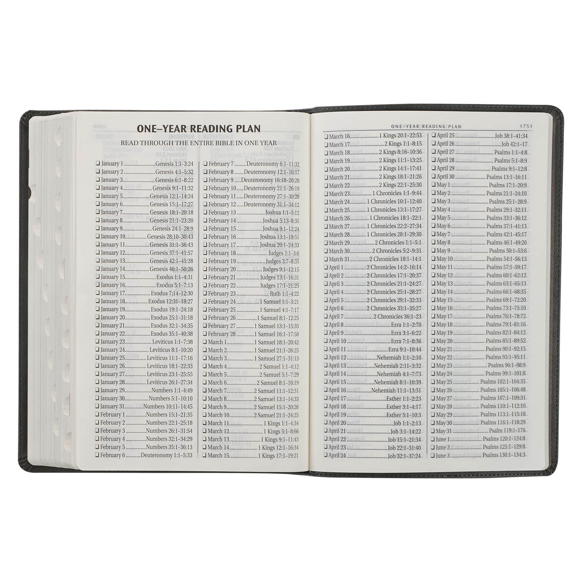 Gray with Black Inlay Faux Leather Super Giant Print King James Version Bible with Thumb Index