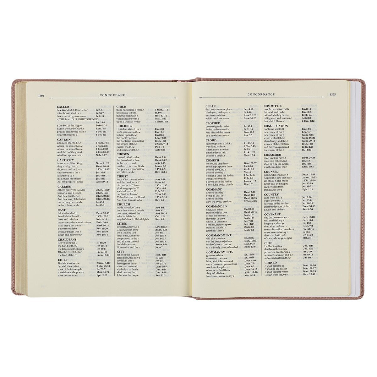 Rose Gold Faux Leather Hardcover Large Print KJV Note-taking Bible