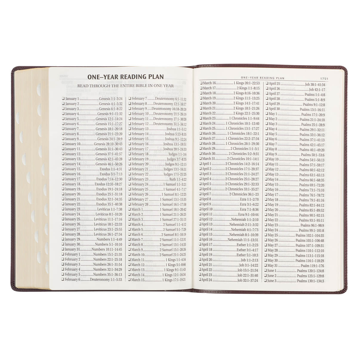 Framed Burgundy Faux Leather Super Giant Print King James Version Bible