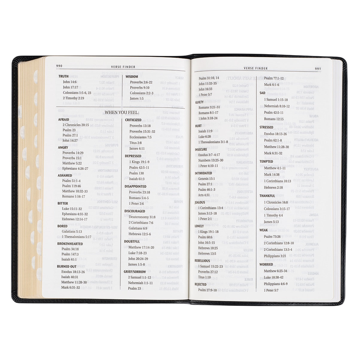 Black Framed Faux Leather King James Version Deluxe Gift Bible with Thumb Index