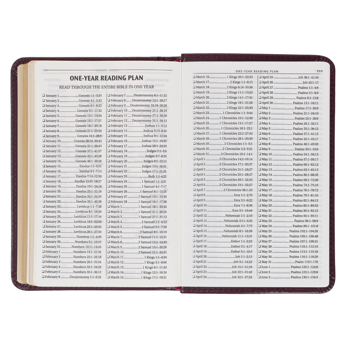 Burgundy Faux Leather King James Version Pocket Bible