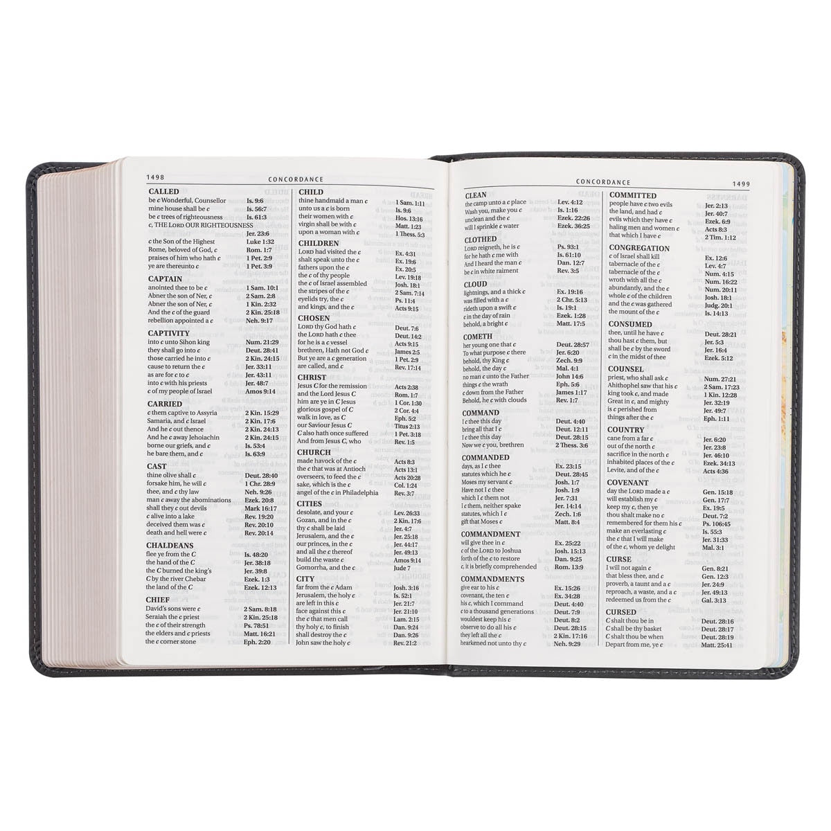Cobalt Gray Large Print Compact King James Version Bible
