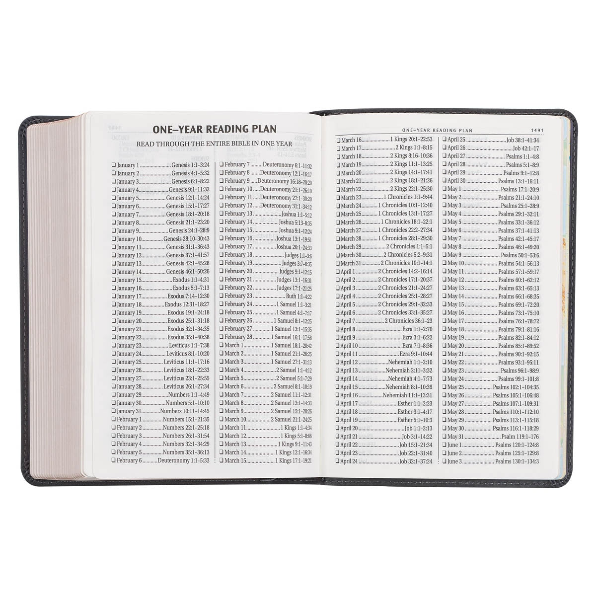 Cobalt Gray Large Print Compact King James Version Bible