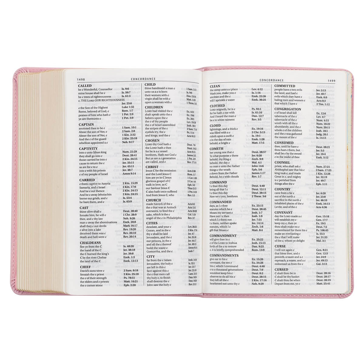 Ballet Pink Large Print Compact King James Version Bible