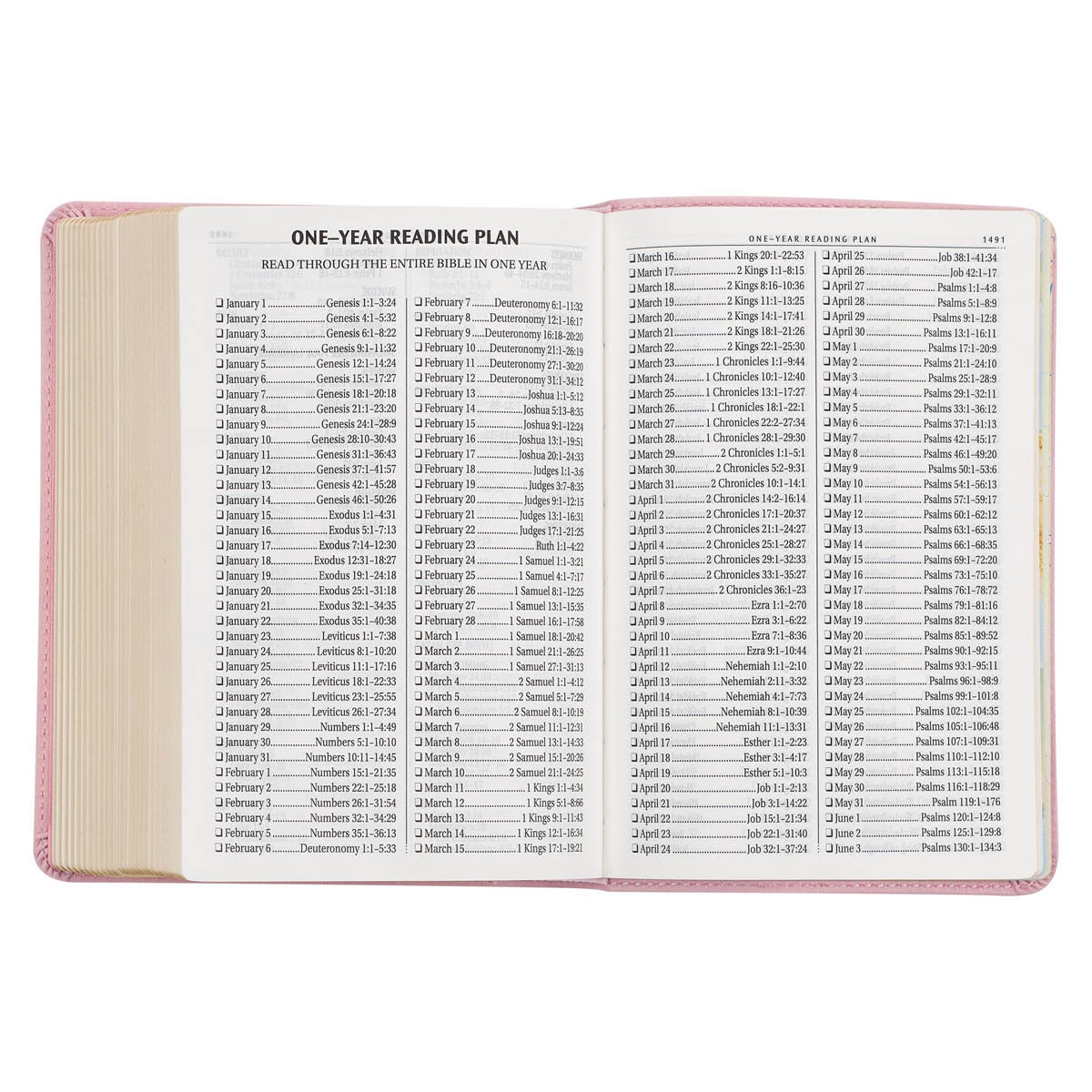 Ballet Pink Large Print Compact King James Version Bible