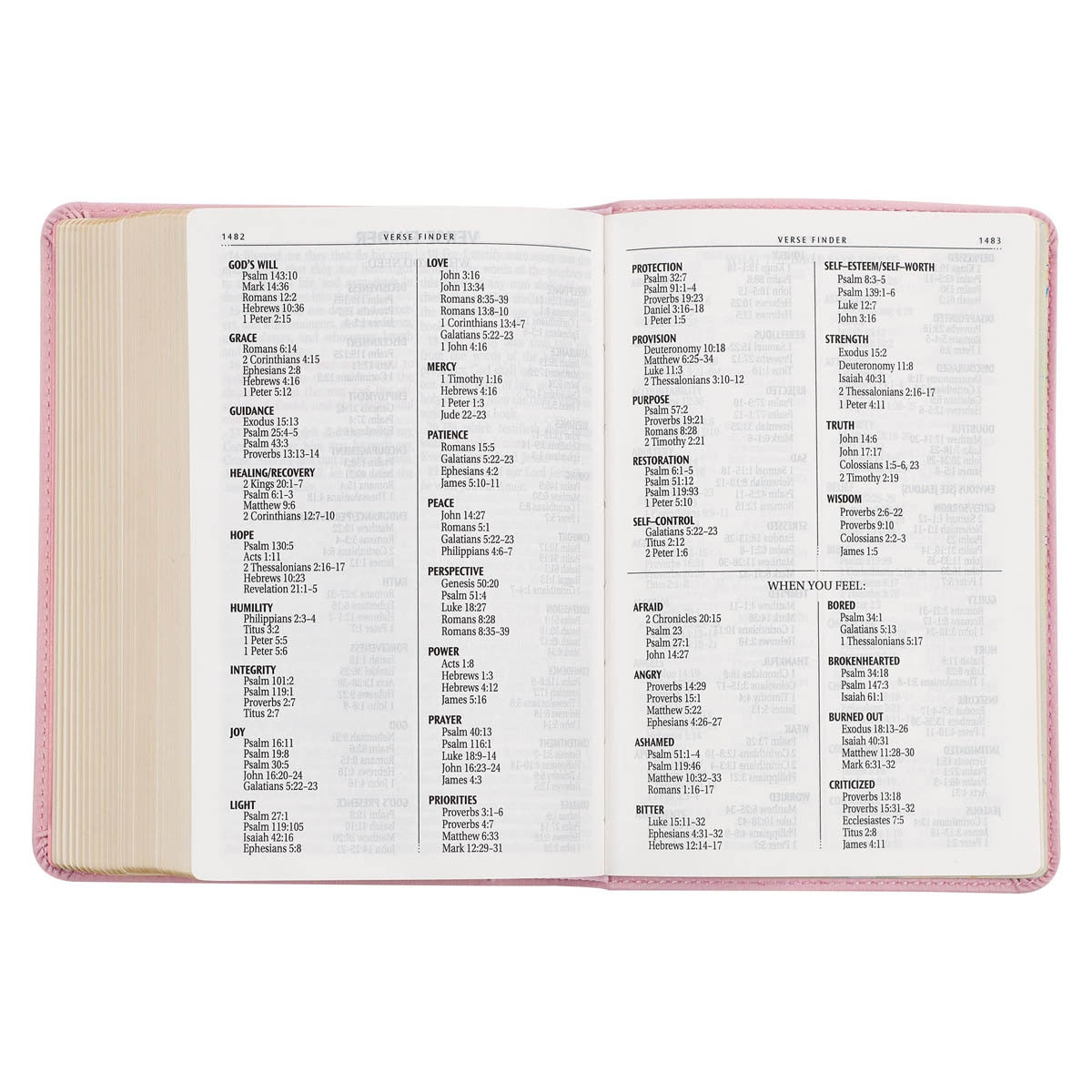 Ballet Pink Large Print Compact King James Version Bible