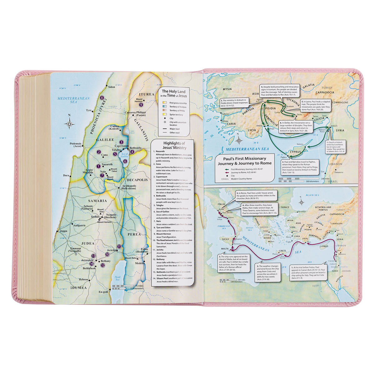 Ballet Pink Large Print Compact King James Version Bible