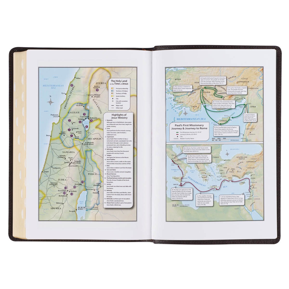 Brown Full Grain Leather Large Print Thinline King James Version Bible with Thumb Index