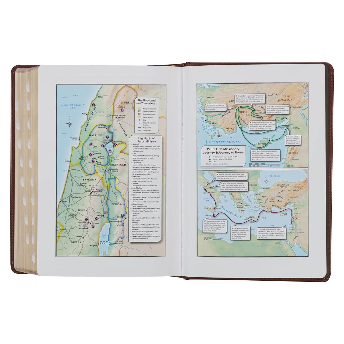 Toffee and Burgundy Faux Leather Hardcover King James Version Study Bible with Thumb Index