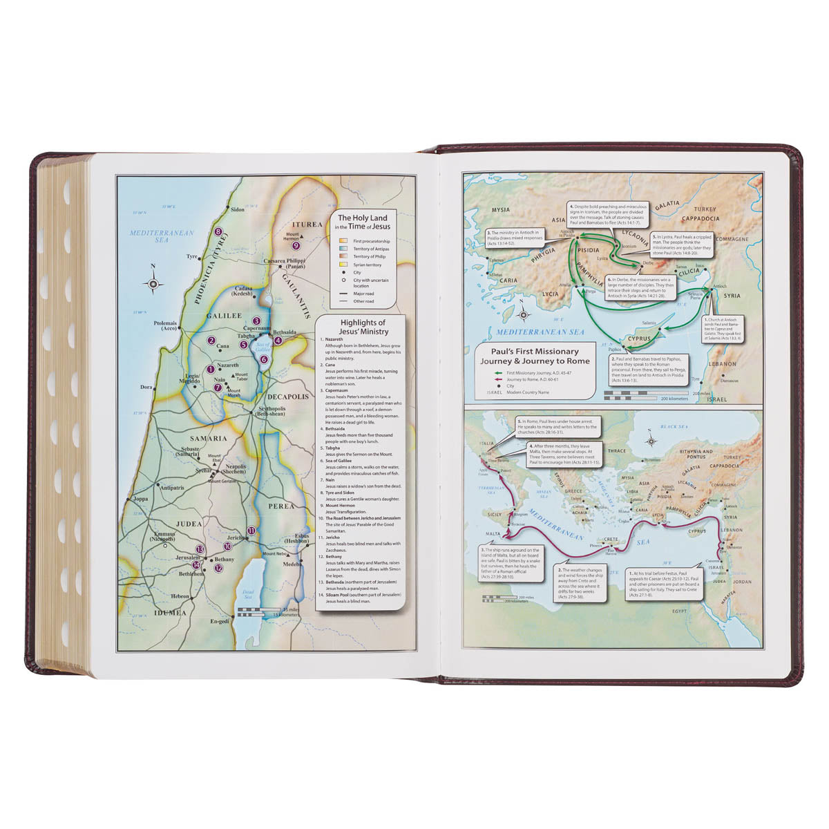 Burgundy and Saddle Tan Faux Leather Large Print King James Version Study Bible with Thumb Index