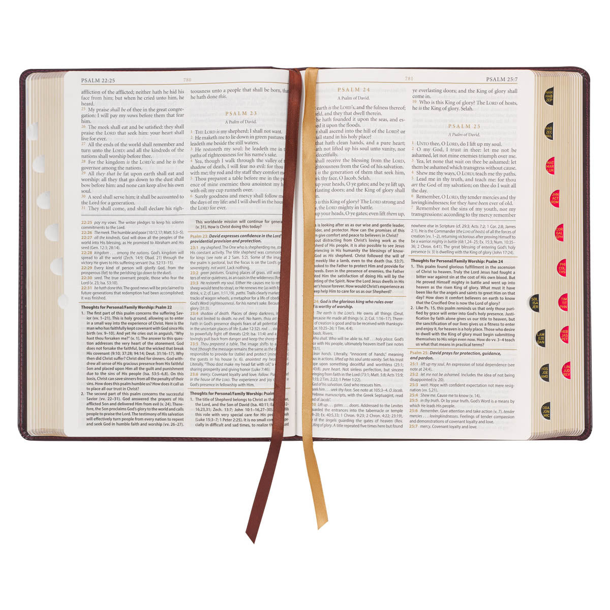 Burgundy and Saddle Tan Faux Leather Large Print King James Version Study Bible with Thumb Index