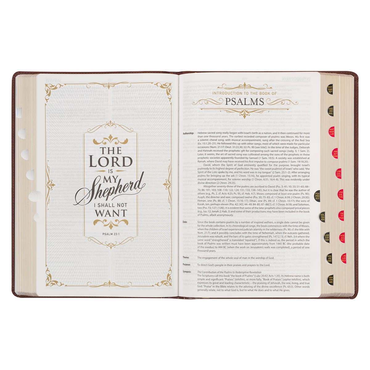 Art Nouveau Framed Toffee Brown Faux Leather Large Print King James Study Bible with Thumb Index