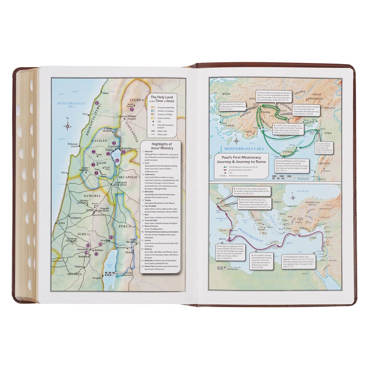 Art Nouveau Framed Toffee Brown Faux Leather Large Print King James Study Bible with Thumb Index