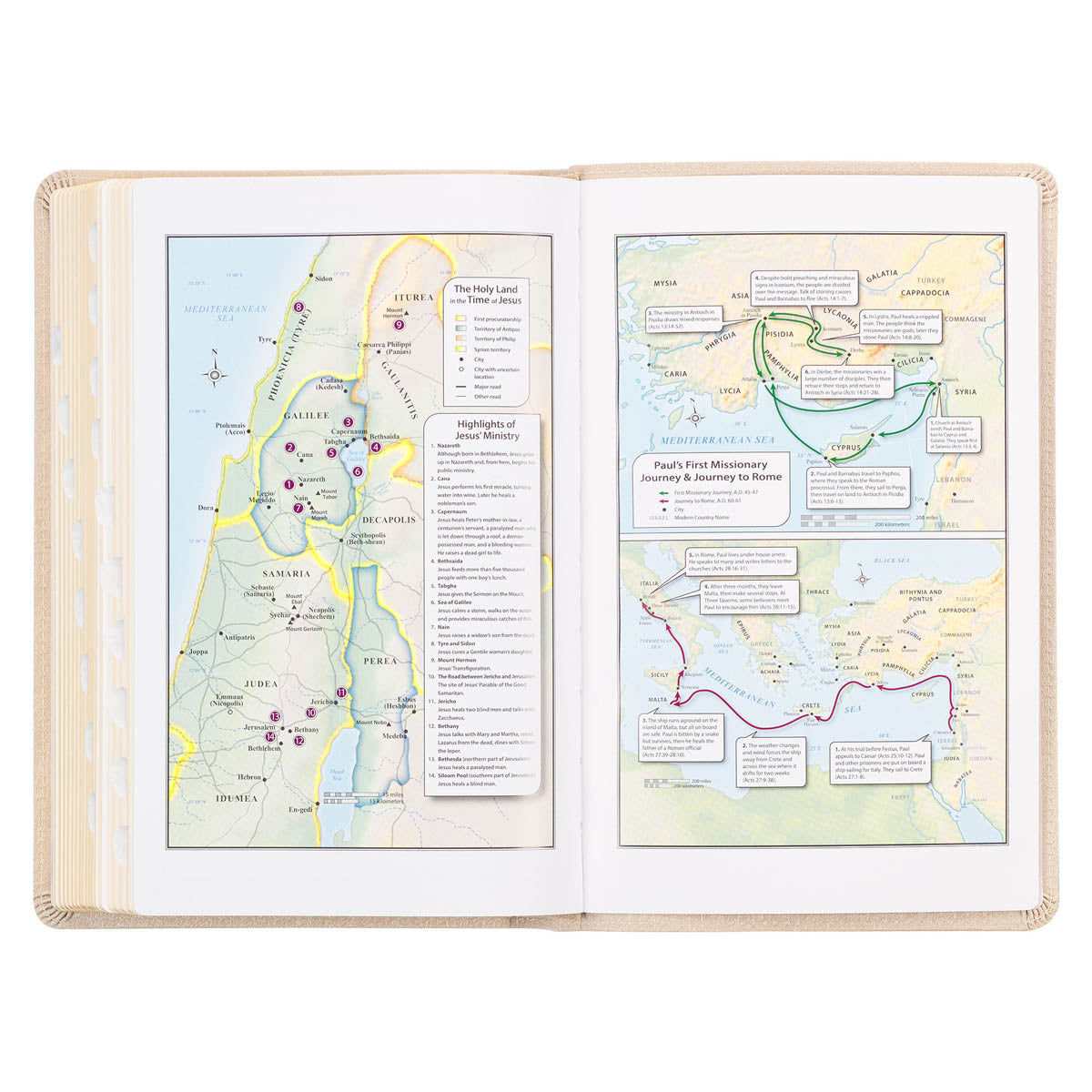 Pearlized Ivory Faux Leather King James Version Deluxe Gift Bible with Thumb Index