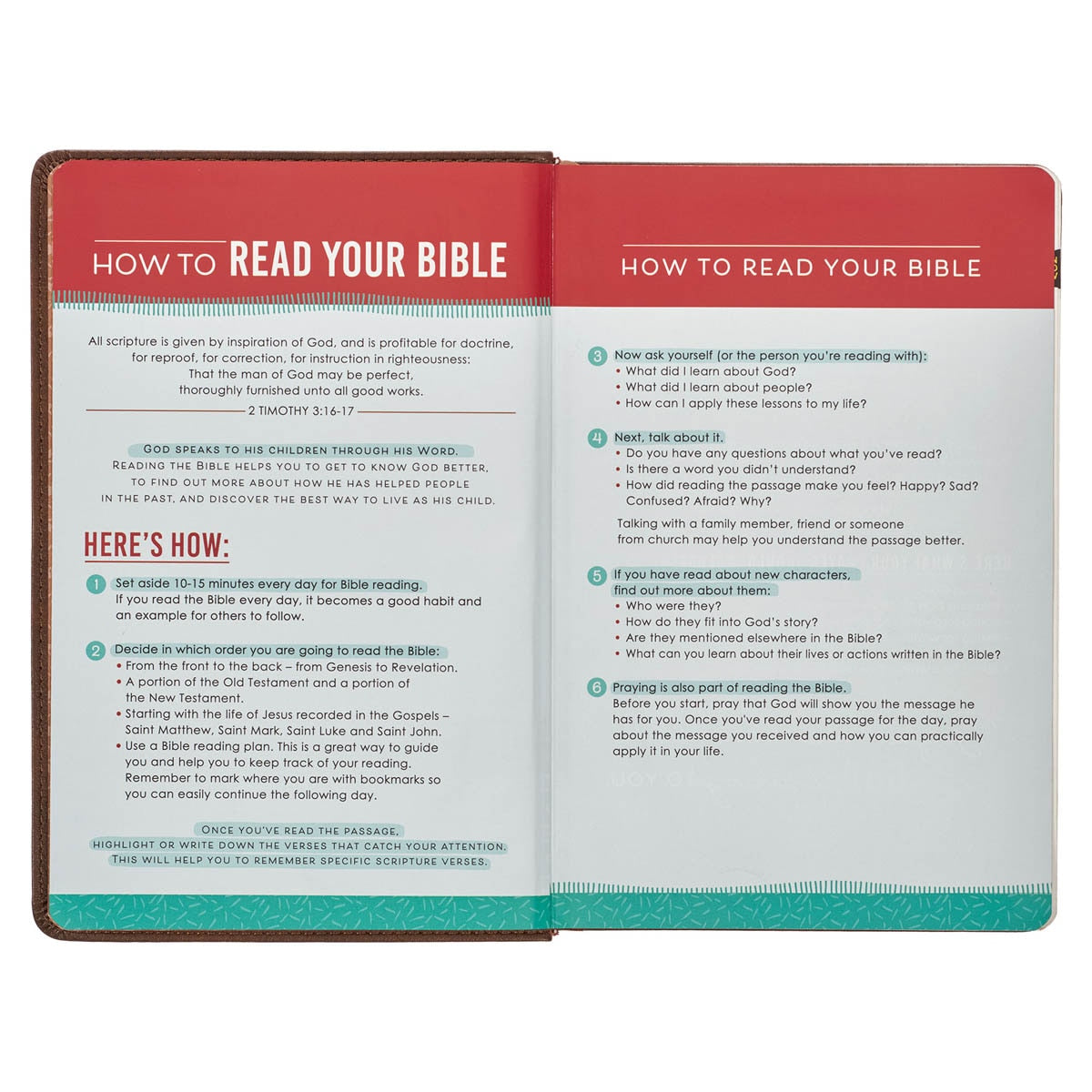 Lion Brown Faux Leather Kid's King James Version Bible