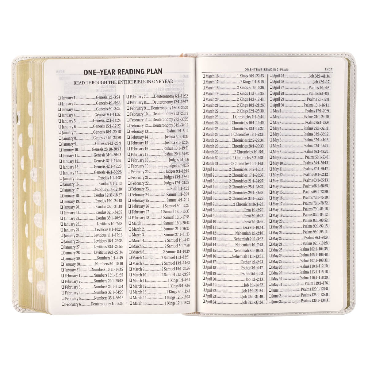 White Floral Faux Leather Giant Print Standard-size King James Version Bible with Thumb Index