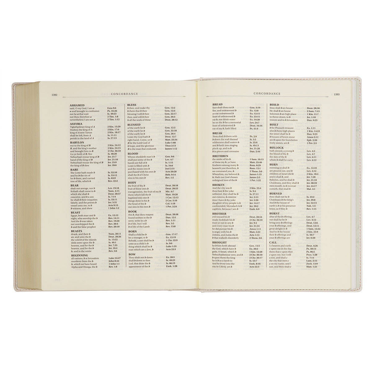 Blush Bouquet Faux Leather Hardcover Large Print King James Version Note-taking Bible