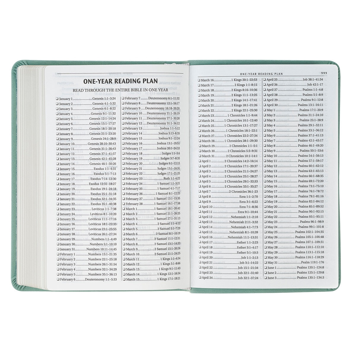 Teal Bloom Faux Leather Compact King James Version Bible