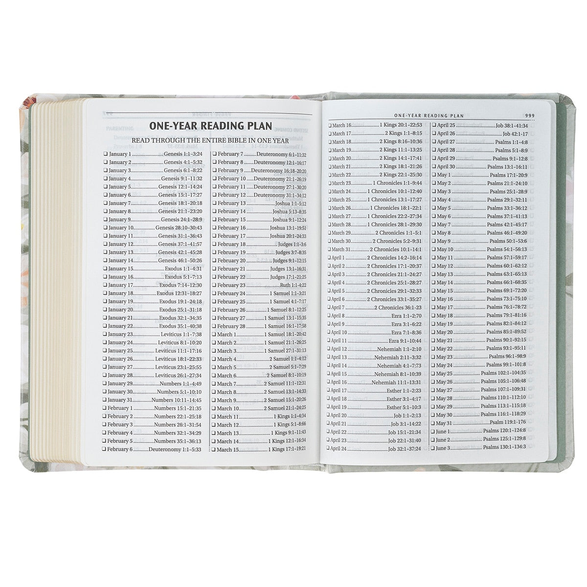 Lichen Gray Floral Faux Leather Hardcover King James Version Bible - Psalm 23:3