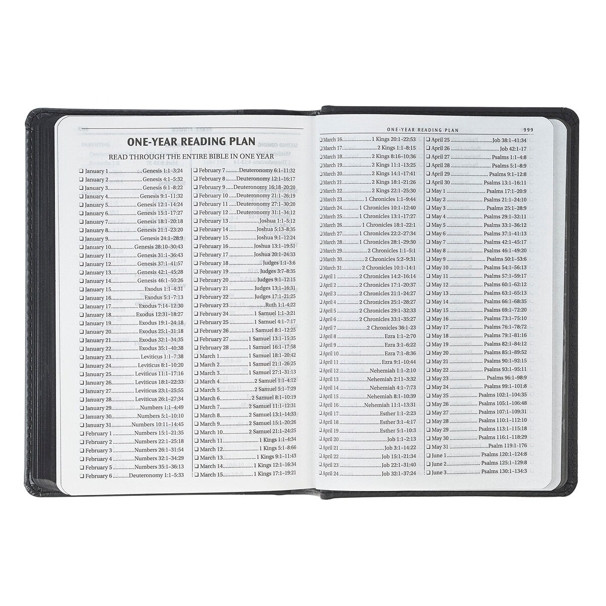 Black and Gray Lion Faux Leather Hardcover Compact King James Version Bible