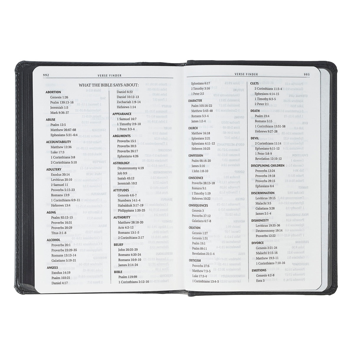 Black and Gray Lion Faux Leather Hardcover Compact King James Version Bible