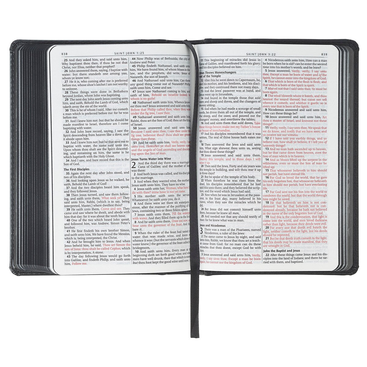 Black and Gray Lion Faux Leather Hardcover Compact King James Version Bible