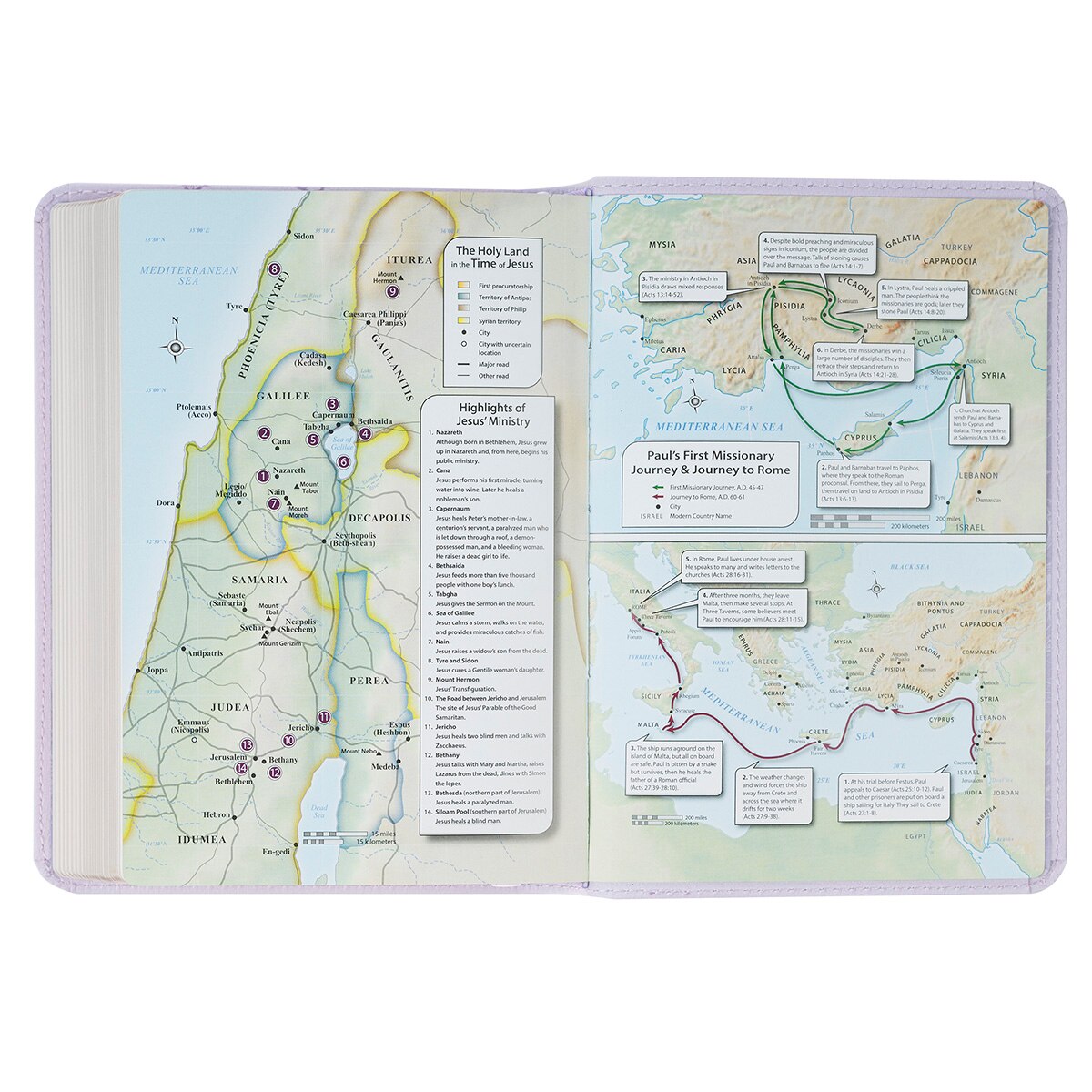 Lavender Bouquet Large Print Compact King James Version Bible