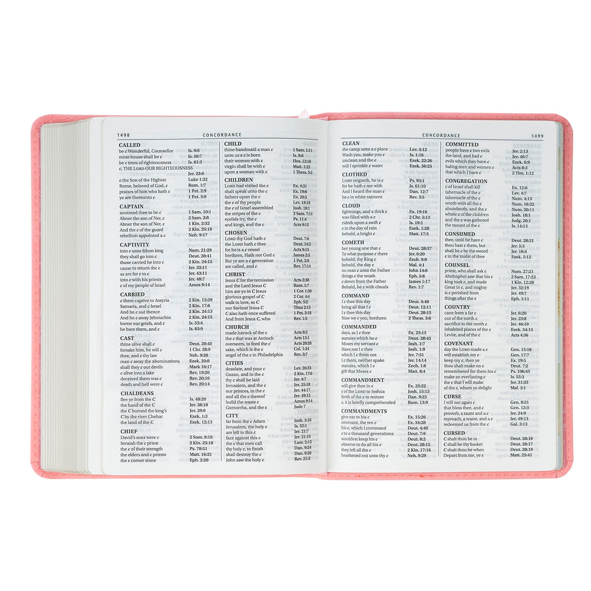 Coral Dawn Floral Large Print Compact King James Version Bible 