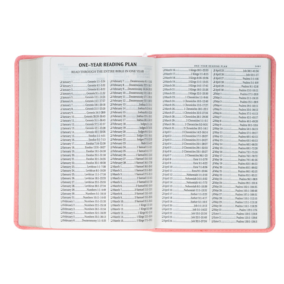 Coral Dawn Floral Large Print Compact King James Version Bible 