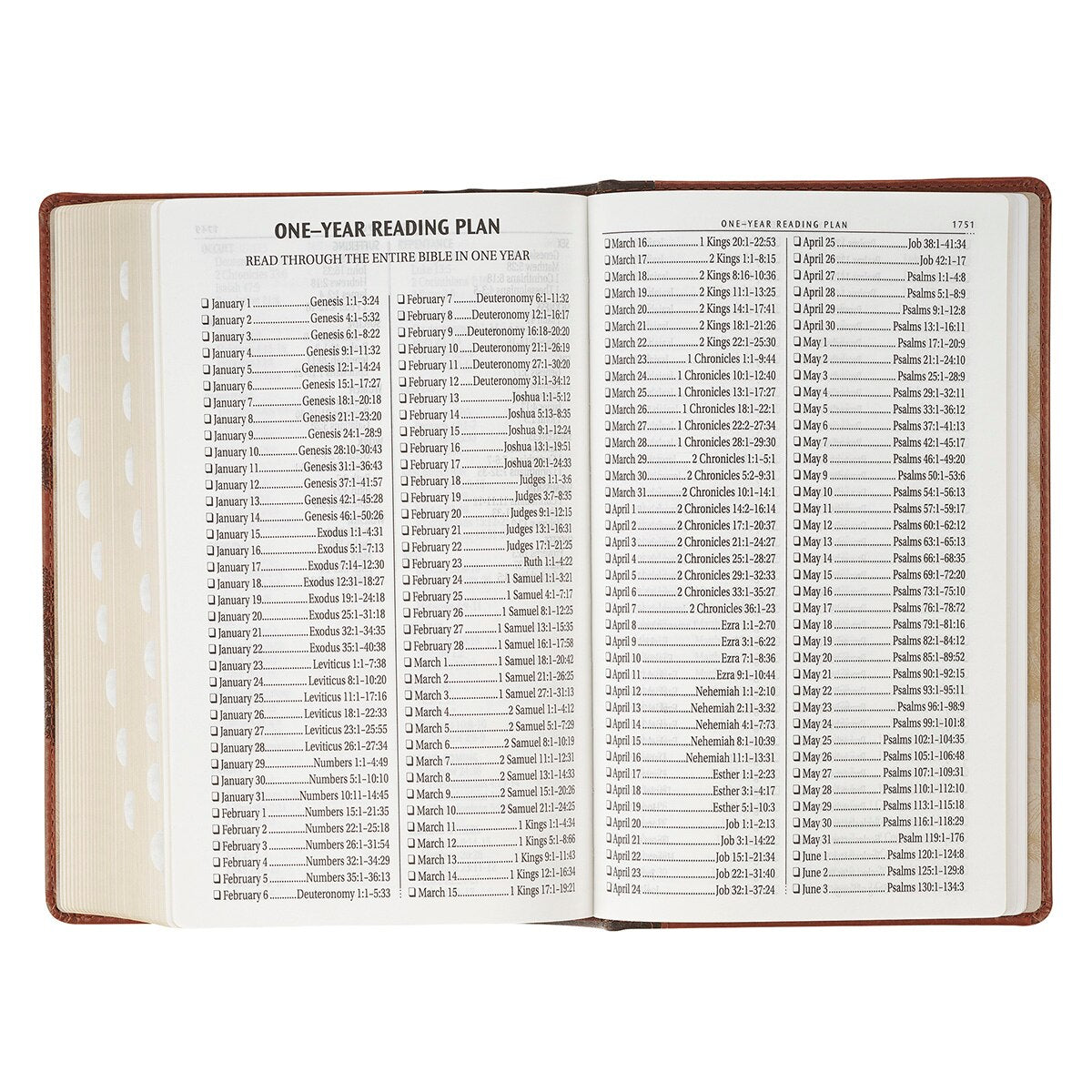 Rooted Brown Faux Leather Hardcover Standard-size Giant Print King James Version Bible with Thumb Index