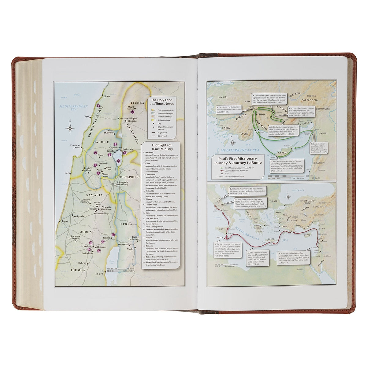 Rooted Brown Faux Leather Hardcover Standard-size Giant Print King James Version Bible with Thumb Index