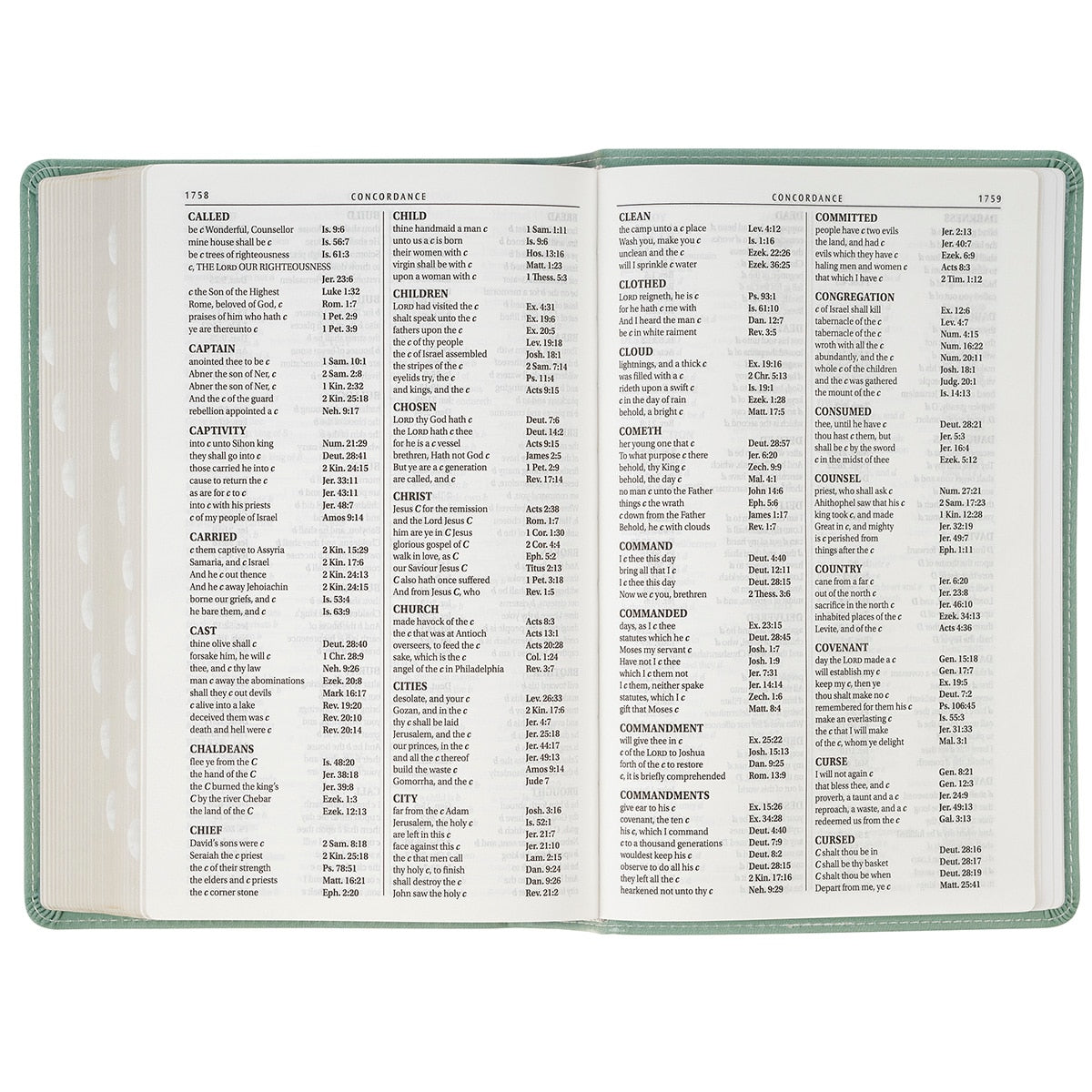 Teal Floral Faux Leather Giant Print Standard-size King James Version Bible with Thumb Index
