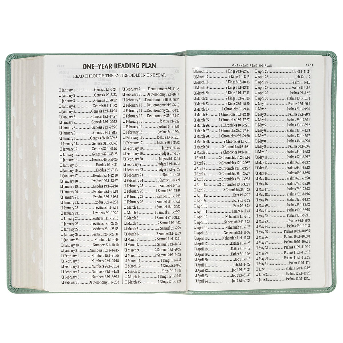 Teal Floral Faux Leather Giant Print Standard-size King James Version Bible with Thumb Index