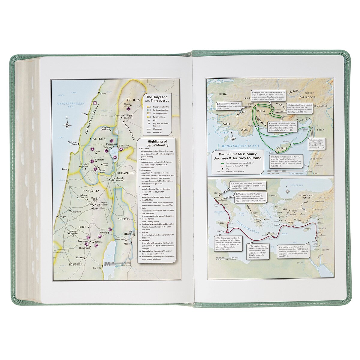 Teal Floral Faux Leather Giant Print Standard-size King James Version Bible with Thumb Index