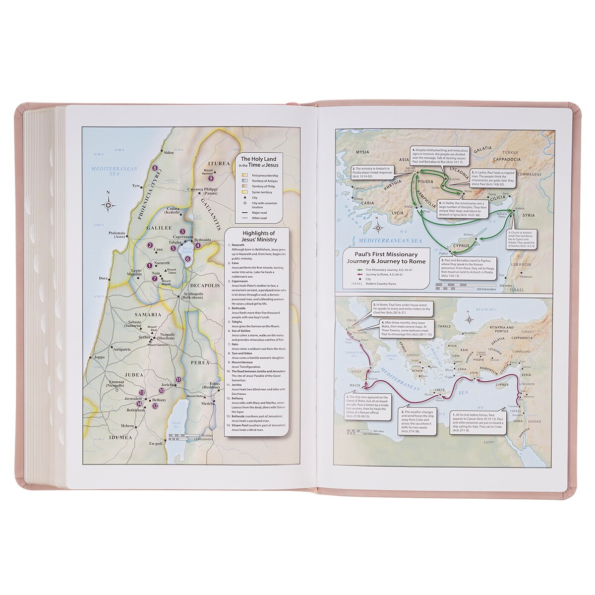 Blush Pink Floral Giant Print Full-size King James Version Bible with Thumb Index