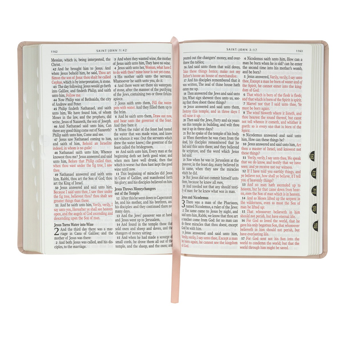 Blush Pink Floral Giant Print Full-size King James Version Bible with Thumb Index