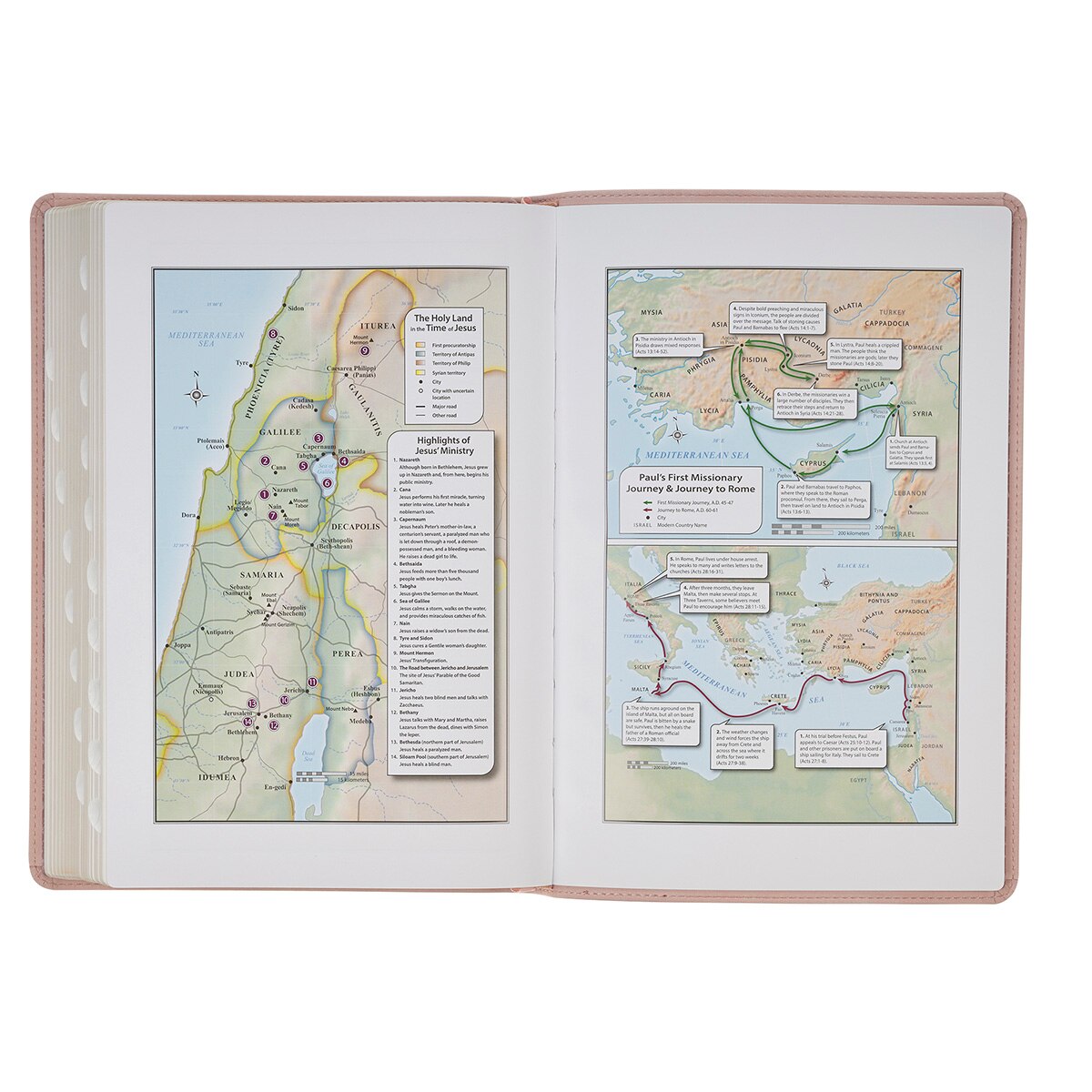 Pink Floral Faux Leather Large Print Thinline King James Version Bible with Thumb Index